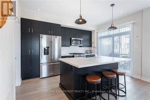 117 Hibiscus Lane, Hamilton, ON - Indoor Photo Showing Kitchen With Upgraded Kitchen