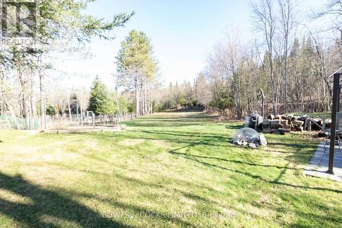 3994 County Road 620, North Kawartha, ON - Outdoor With View