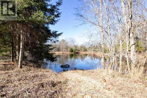 3994 County Road 620, North Kawartha, ON - Outdoor With View