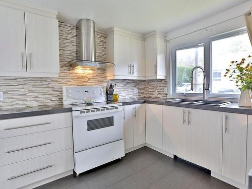 Cuisine - 48 Rue Dolin, Laval (Auteuil), QC - Indoor Photo Showing Kitchen With Double Sink