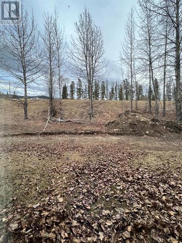 195 Chamberlain Crescent Unit# 108, Tumbler Ridge, BC - Outdoor With View
