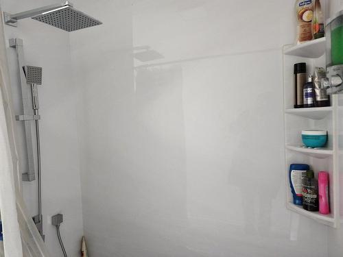 Bathroom - 1224 Rue Tamarac, Hinchinbrooke, QC - Indoor