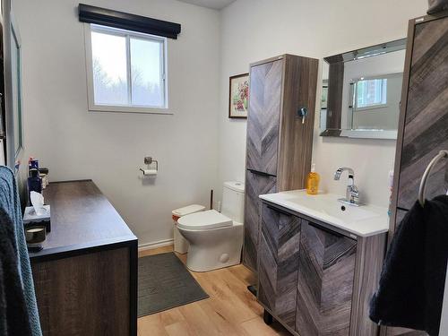 Salle de bains - 1224 Rue Tamarac, Hinchinbrooke, QC - Indoor Photo Showing Bathroom
