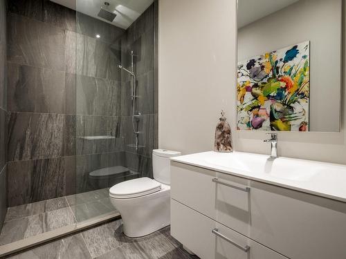 Salle de bains - 301-1100 Rue Les Érables, Laval (Laval-Sur-Le-Lac), QC - Indoor Photo Showing Bathroom