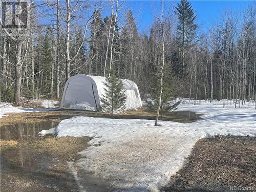 391 Auburnville Road, Bay Du Vin, NB - Outdoor With View