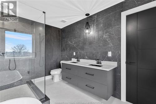 4810 Terra Bella, Lasalle, ON - Indoor Photo Showing Bathroom