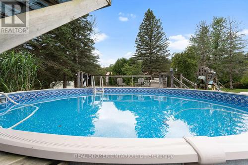 11948 Dublin Line, Halton Hills, ON - Outdoor With Above Ground Pool With Backyard