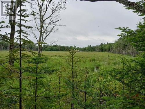 Lot 10 Richibuto Road, Noonan, NB 