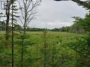 Lot 10 Richibuto Road, Noonan, NB 