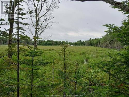 Lot 10 Richibuto Rd, Noonan, NB 