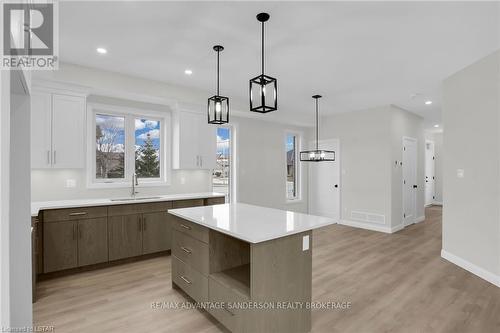 #114 -93 Stonefield Lane, Middlesex Centre, ON - Indoor Photo Showing Kitchen With Upgraded Kitchen