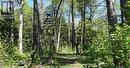 Lot E21 Escarpment Nippissing Ridge Road, Tiny, ON 