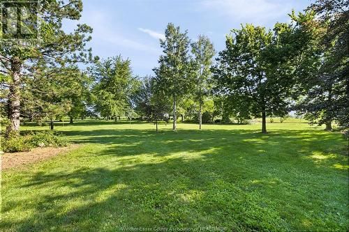13568 Middle Road, Lakeshore, ON - Outdoor With View