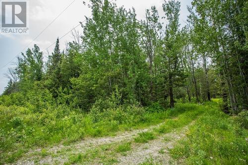 Lot 7 Maguire Dr|St. Joseph Township, St. Joseph Island, ON 