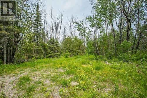 Lot 7 Maguire Dr|St. Joseph Township, St. Joseph Island, ON 