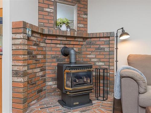 393 Beech Ave, Duncan, BC - Indoor With Fireplace