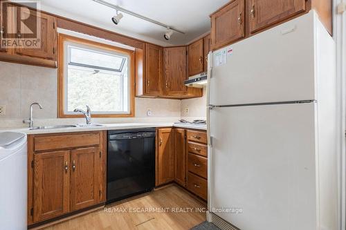 459 Hamilton Drive, Hamilton, ON - Indoor Photo Showing Kitchen With Double Sink