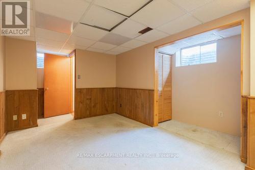 459 Hamilton Drive, Hamilton, ON - Indoor Photo Showing Basement
