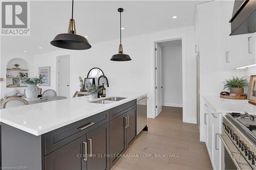 1918 Fountain Grass Drive, London, ON - Indoor Photo Showing Kitchen With Double Sink With Upgraded Kitchen