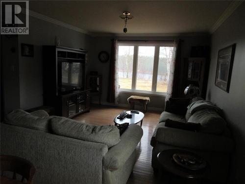 3 Little Red Indian Falls Other, Badger, NL - Indoor Photo Showing Living Room