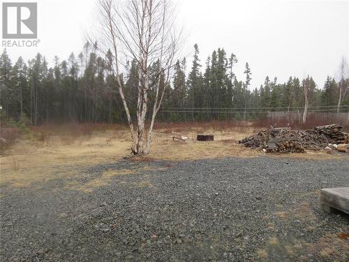 3 Little Red Indian Falls Other, Badger, NL - Outdoor With View