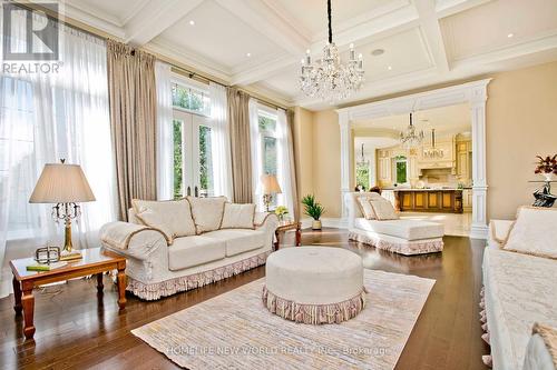 73 Stockdale Crescent, Richmond Hill, ON - Indoor Photo Showing Living Room