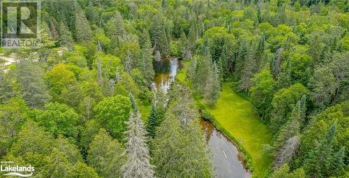 248 Riverside Drive, Haliburton, ON - Outdoor With View