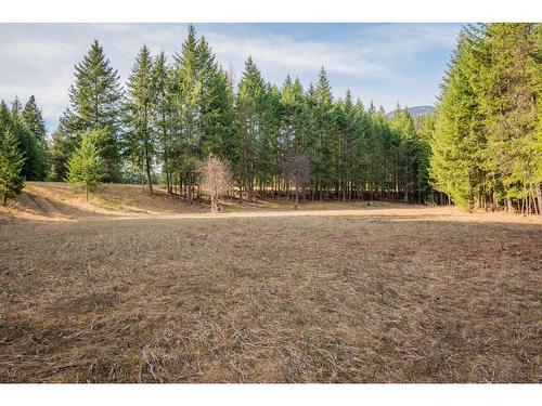 2621 Highway 3A, Castlegar, BC - Outdoor With View