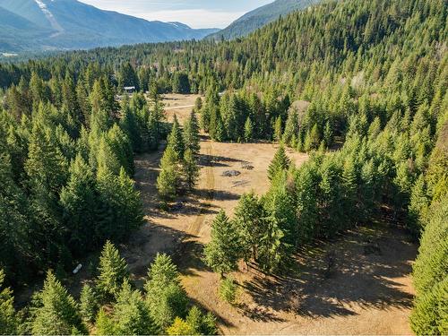 2621 Highway 3A, Castlegar, BC - Outdoor With View