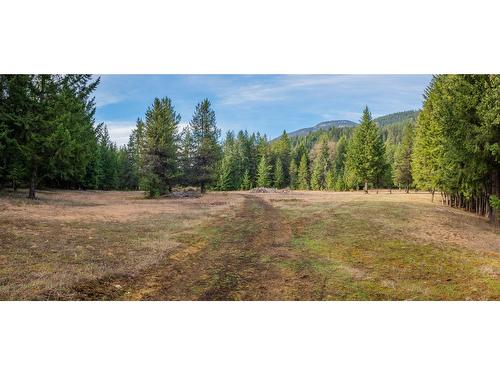 2621 Highway 3A, Castlegar, BC - Outdoor With View