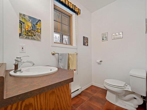 Salle d'eau - 231 Ch. Claude-Lefebvre, Mont-Tremblant, QC - Indoor Photo Showing Bathroom