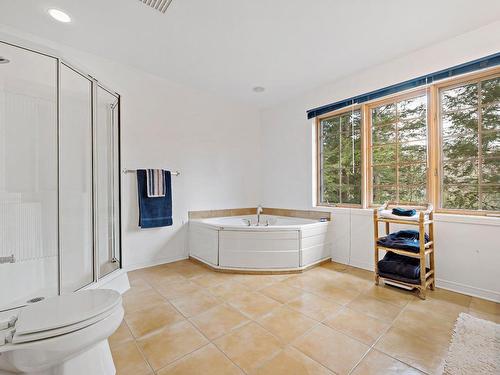 Salle de bains attenante Ã  la CCP - 231 Ch. Claude-Lefebvre, Mont-Tremblant, QC - Indoor Photo Showing Bathroom