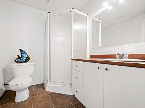 Salle de bains - 231 Ch. Claude-Lefebvre, Mont-Tremblant, QC - Indoor Photo Showing Bathroom