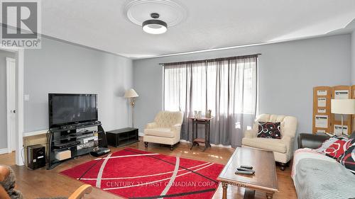 117 Wonham Street S, Ingersoll, ON - Indoor Photo Showing Living Room