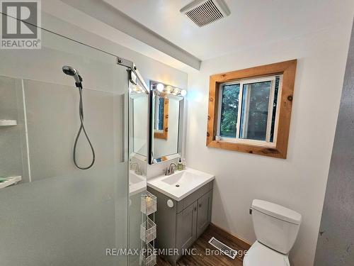 118 Nordic Road, Blue Mountains, ON - Indoor Photo Showing Bathroom