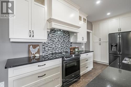 234 Burford-Delhi Townline Rd, Brant, ON - Indoor Photo Showing Kitchen With Upgraded Kitchen