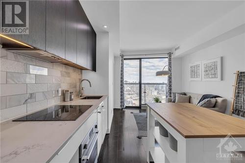 20 Daly Avenue Unit#1611, Ottawa, ON - Indoor Photo Showing Kitchen