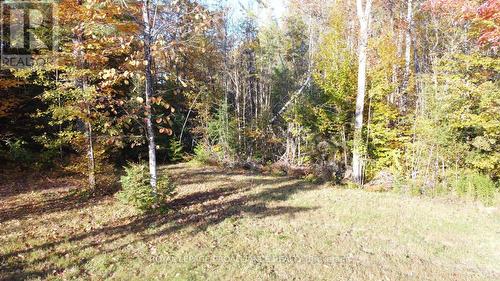 Con 13 Ptlt 30 Turtle Lake Lane, North Frontenac, ON 