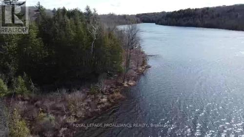 Con 13 Ptlt 30 Turtle Lake Lane, North Frontenac, ON 