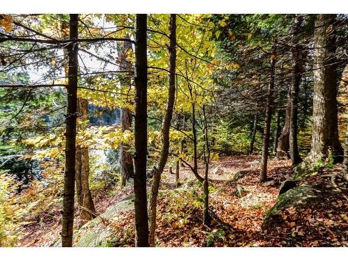Water view - 39 Rue Hazlett-Hicks, Gore, QC - Outdoor With View