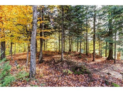 Land/Lot - 39 Rue Hazlett-Hicks, Gore, QC - Outdoor With View