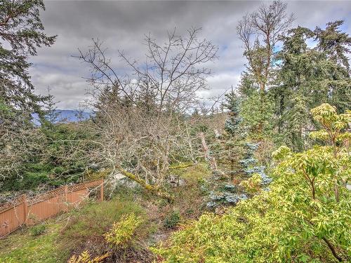1222 Mckenzie Dr, Duncan, BC - Outdoor With View