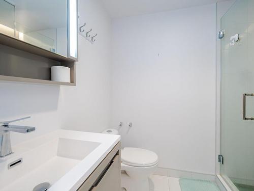 Bathroom - 2601-1288 Av. Des Canadiens-De-Montréal, Montréal (Ville-Marie), QC - Indoor Photo Showing Bathroom
