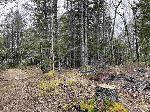 Lot 5-23 Huber Road, Camperdown, NS 