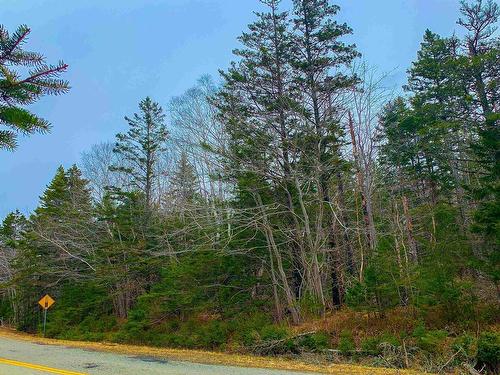 Lots Harrington Road, Mayflower, NS 