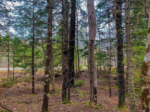 Lots Harrington Road, Mayflower, NS 