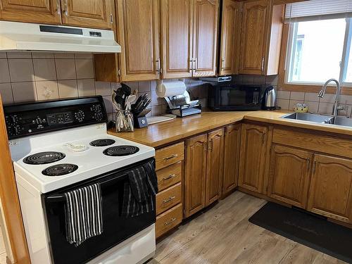 255 Regina Avenue, Thunder Bay, ON - Indoor Photo Showing Kitchen With Double Sink