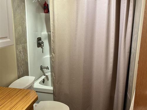 255 Regina Avenue, Thunder Bay, ON - Indoor Photo Showing Bathroom
