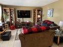255 Regina Avenue, Thunder Bay, ON  - Indoor Photo Showing Living Room 