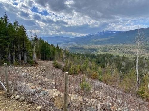 1077 Clearwater Valley Rd, Clearwater, BC - Outdoor With View